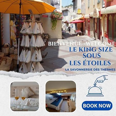 Le King & Suites Etoilees Gréoux-les-Bains المظهر الخارجي الصورة